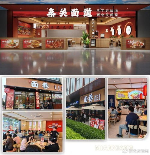 秦关面道携手面巷 双品牌战略升级背后的供应链革新——惠优品食品工厂隆重揭幕