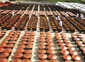 用好“老干妈”金字招牌，贵州三年聚力打造辣椒产业强省新蓝图