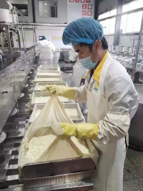 诚信经营 安阳可旺食品打造放心豆腐品牌之路