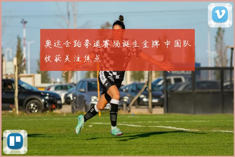 奥运会跆拳道赛场诞生金牌 中国队收获关注焦点